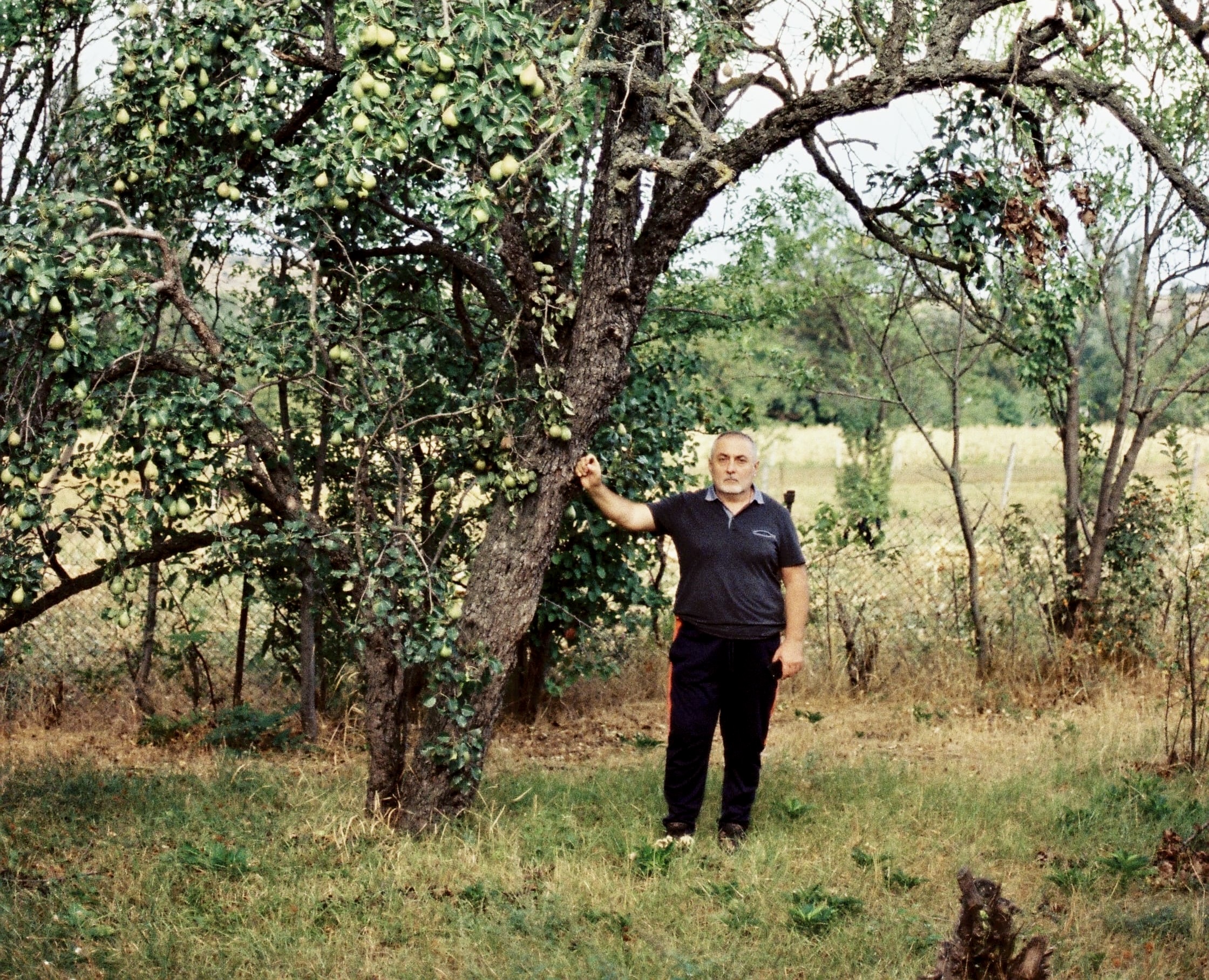 ოსტატი